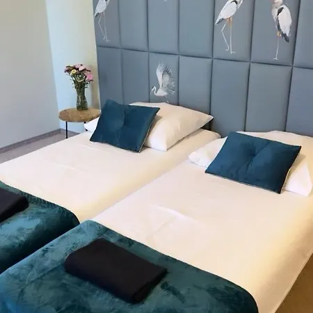 Ventana 2 Free Parking Sniadanie W Cenie 503 18 18 11 Gasthuis