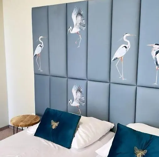 Ventana 2 Free Parking Sniadanie W Cenie 503 18 18 11 Pensjonat Poznań