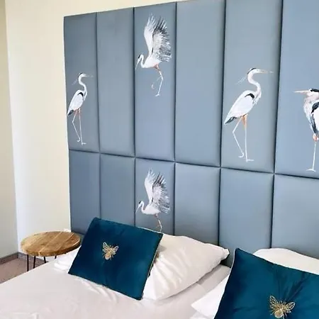 Ventana 2 Free Parking Sniadanie W Cenie 503 18 18 11 بيت ضيافة بوزنان